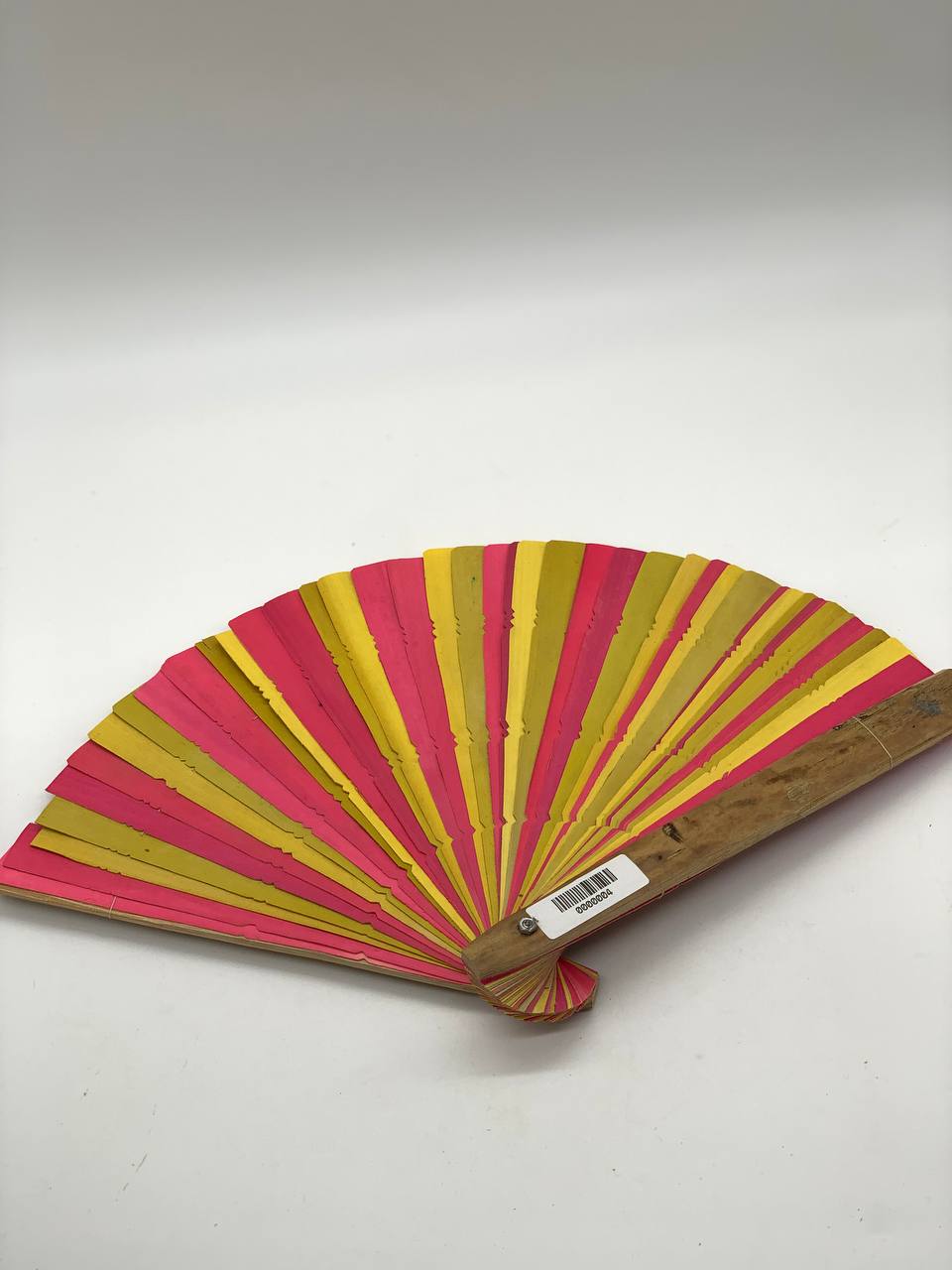 Palm Leaf Fan