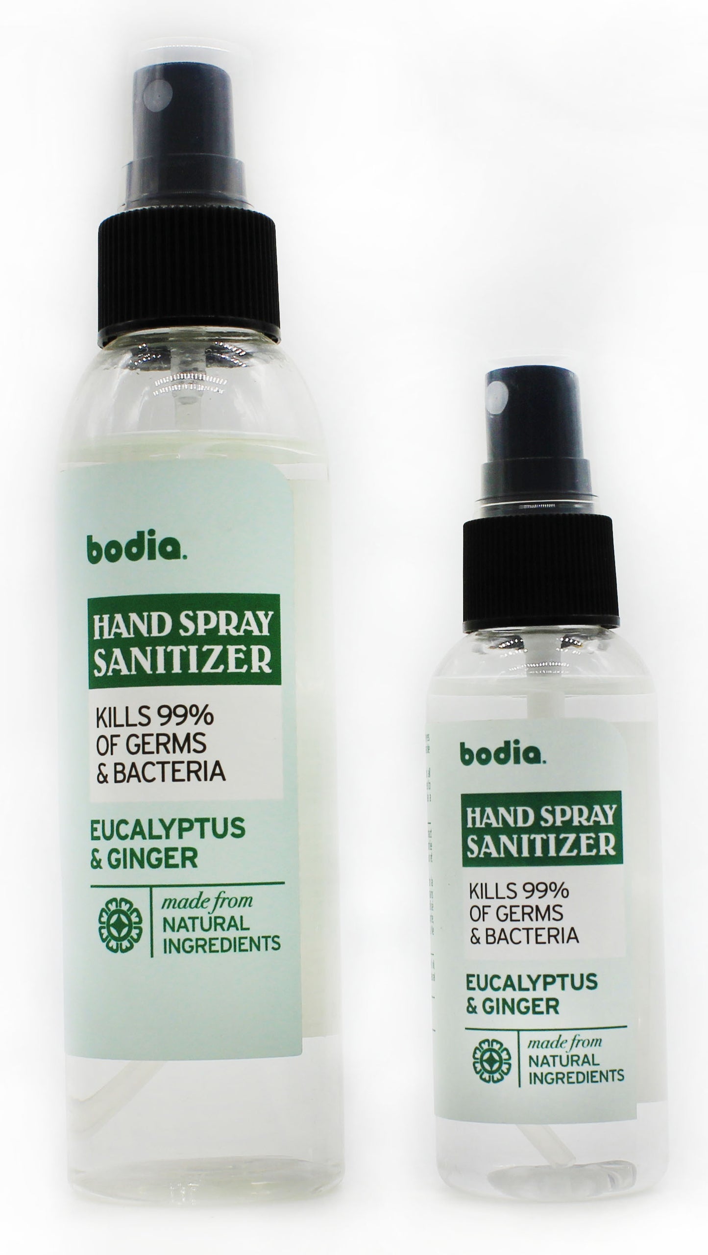 Hand Spray Sanitizer Eucalyptus and Ginger