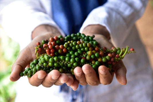 Dried Pickled Green Peppercorns