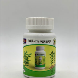 gt-tea-%e1%9e%8f%e1%9f%82%e1%9e%87%e1%9e%b8%e1%9e%92%e1%9e%b8%e1%9e%9f%e1%9e%89%e1%9f%92%e1%9e%89%e1%9e%b6%e1%9e%80%e1%9f%92%e1%9e%9a%e1%9e%bc%e1%9e%85%e1%9e%86%e1%9f%92%e1%9e%98%e1%9e%b6%e1%9e%9a-6