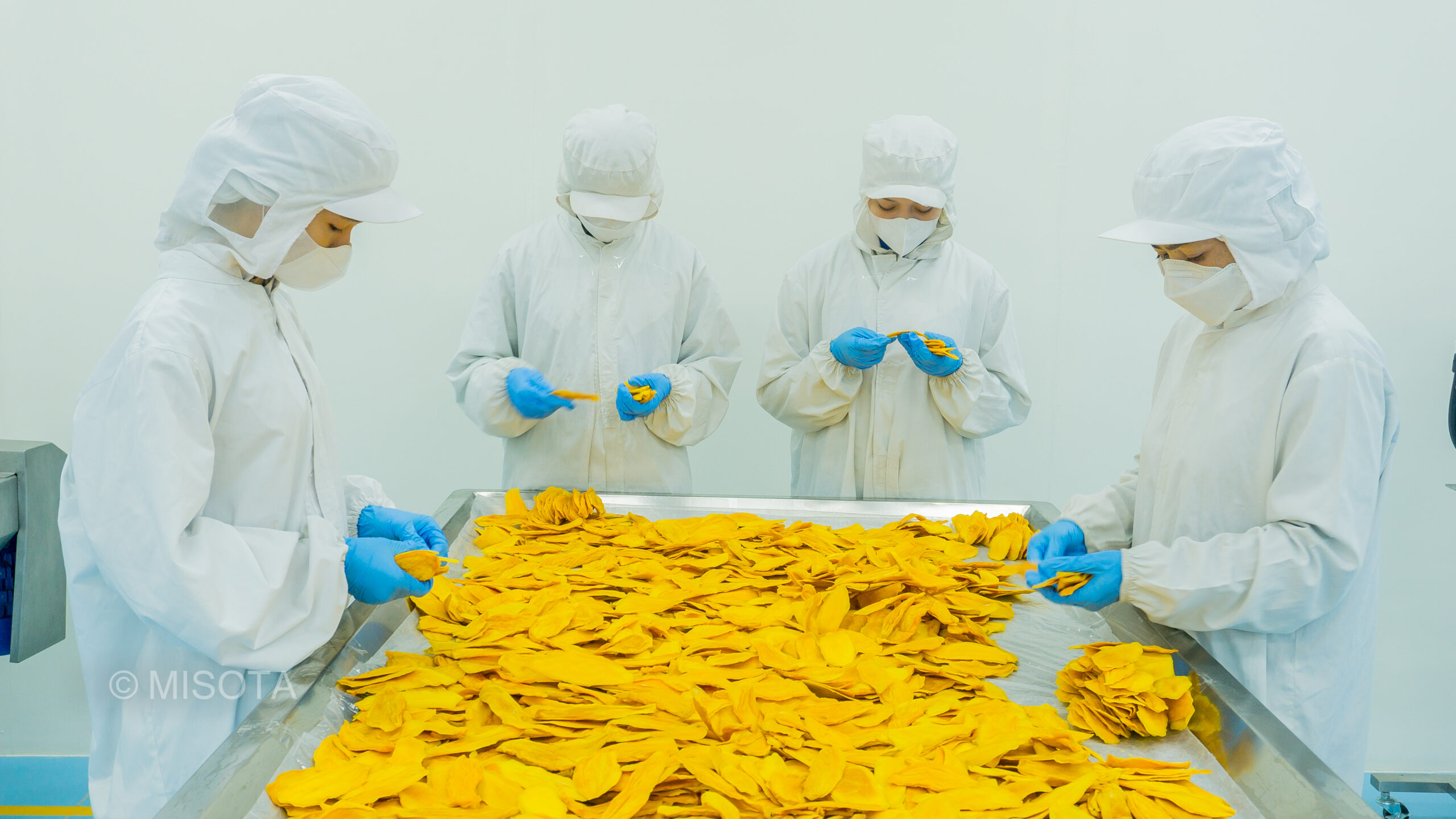 Soft Dried Mango - ដំណាប់ស្វាយសម្ងួត 1kg 2 Soft Dried Mango - ដំណាប់ស្វាយសម្ងួត 1kg - Image 2