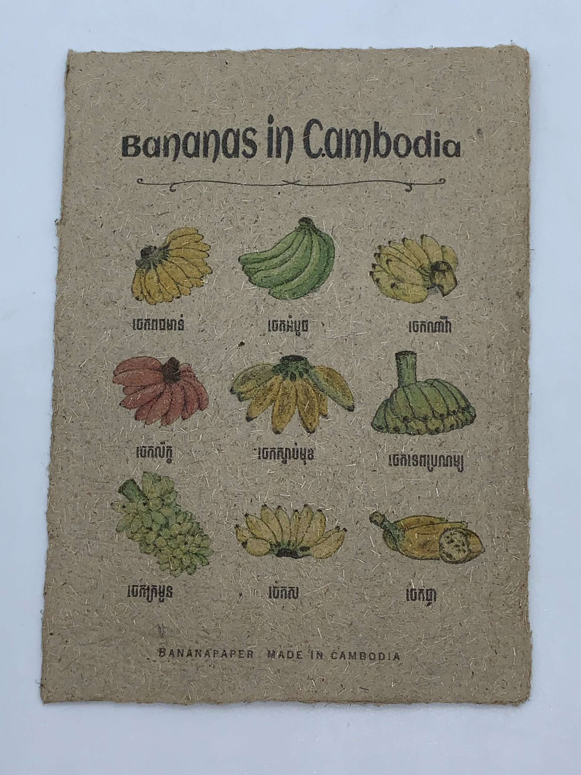 post-card-banana-in-cambodia-%e1%9e%9a%e1%9e%bc%e1%9e%94%e1%9e%85%e1%9f%81%e1%9e%80%e1%9e%80%e1%9f%92%e1%9e%93%e1%9e%bb%e1%9e%84%e1%9e%94%e1%9f%92%e1%9e%9a%e1%9e%91%e1%9f%81%e1%9e%9f%e1%9e%80