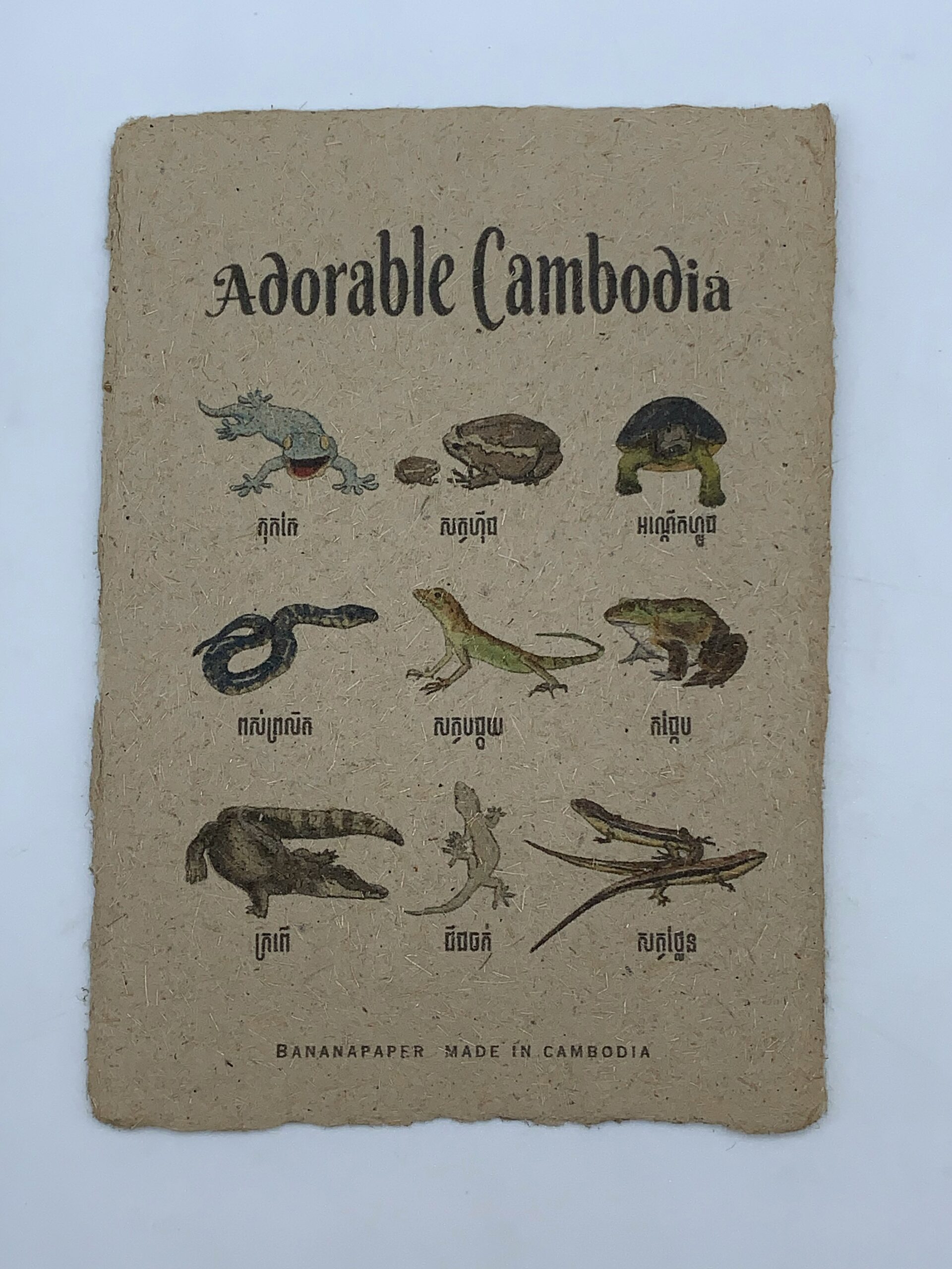 pots-card-adorable-cambodia-%e1%9e%9a%e1%9e%bc%e1%9e%94%e1%9e%9f%e1%9e%8f%e1%9f%92%e1%9e%9c