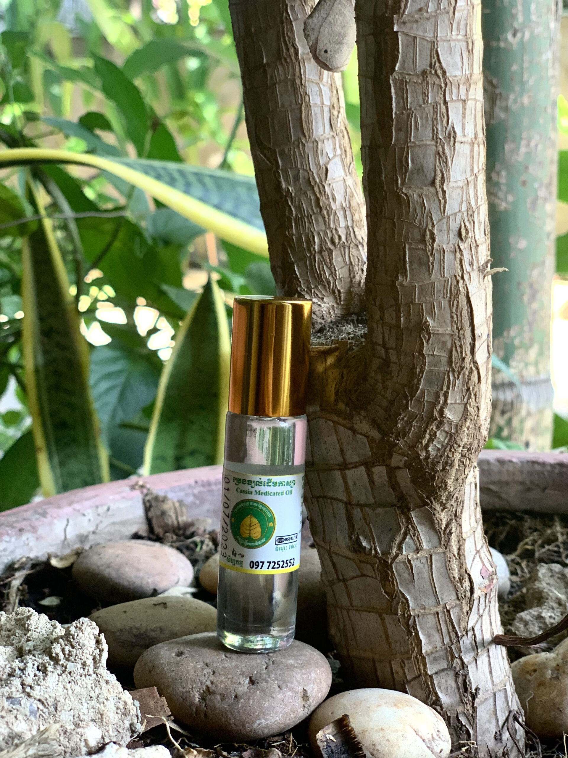 cassia-medicated-oil-%e1%9e%94%e1%9f%92%e1%9e%9a%e1%9f%81%e1%9e%84%e1%9e%81%e1%9f%92%e1%9e%99%e1%9e%9b%e1%9f%8b%e1%9e%8a%e1%9e%be%e1%9e%98%e1%9e%80%e1%9e%b6%e1%9e%9f%e1%9f%92%e1%9e%99%e1%9e%b6-10cc