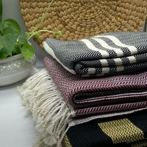 blanket-%e1%9e%97%e1%9e%bd%e1%9e%99-120cmx240cm