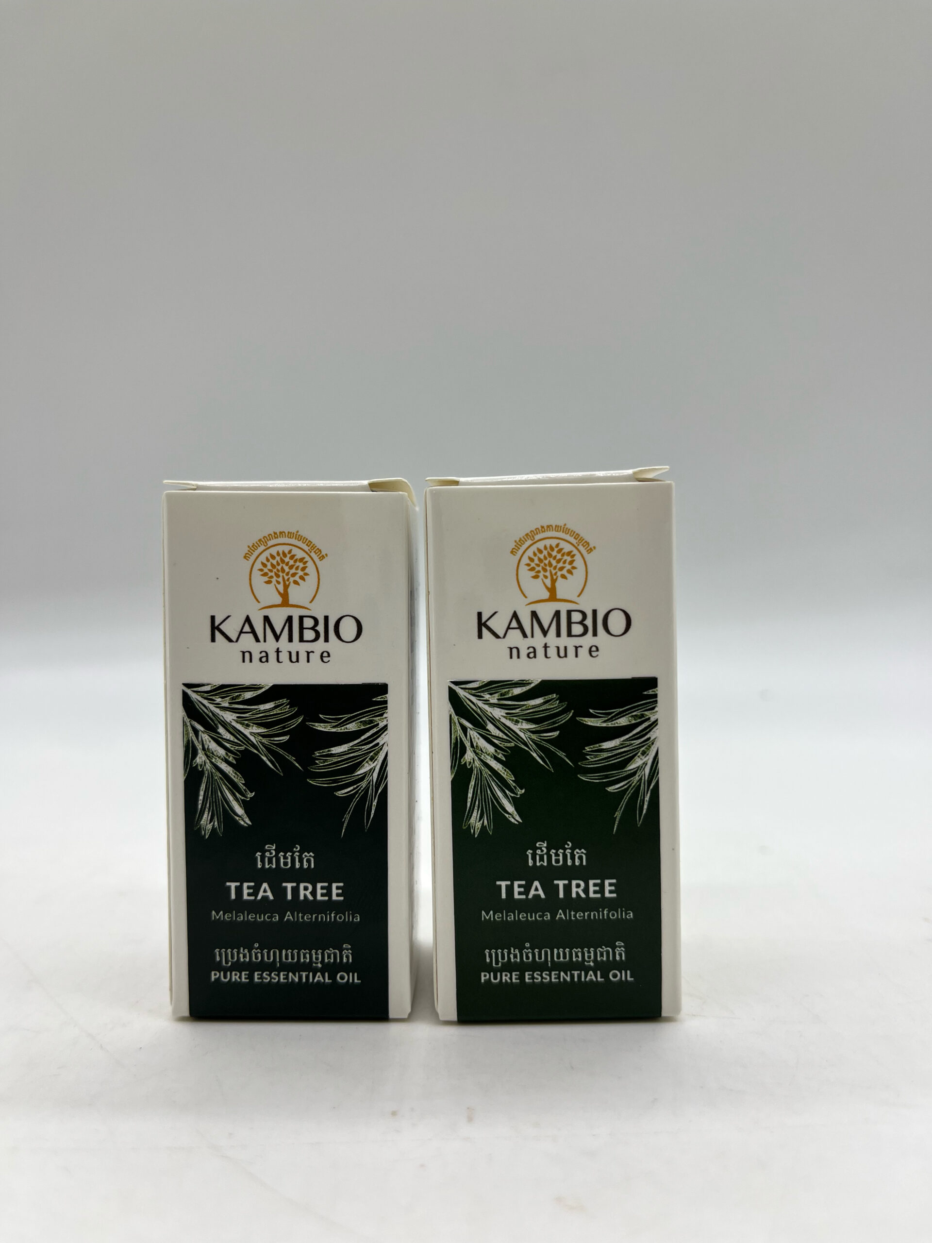 Essential Oil Tea Tree - ប្រេងដើមតែ 10ml 2 Essential Oil Tea Tree - ប្រេងដើមតែ 10ml - Image 2