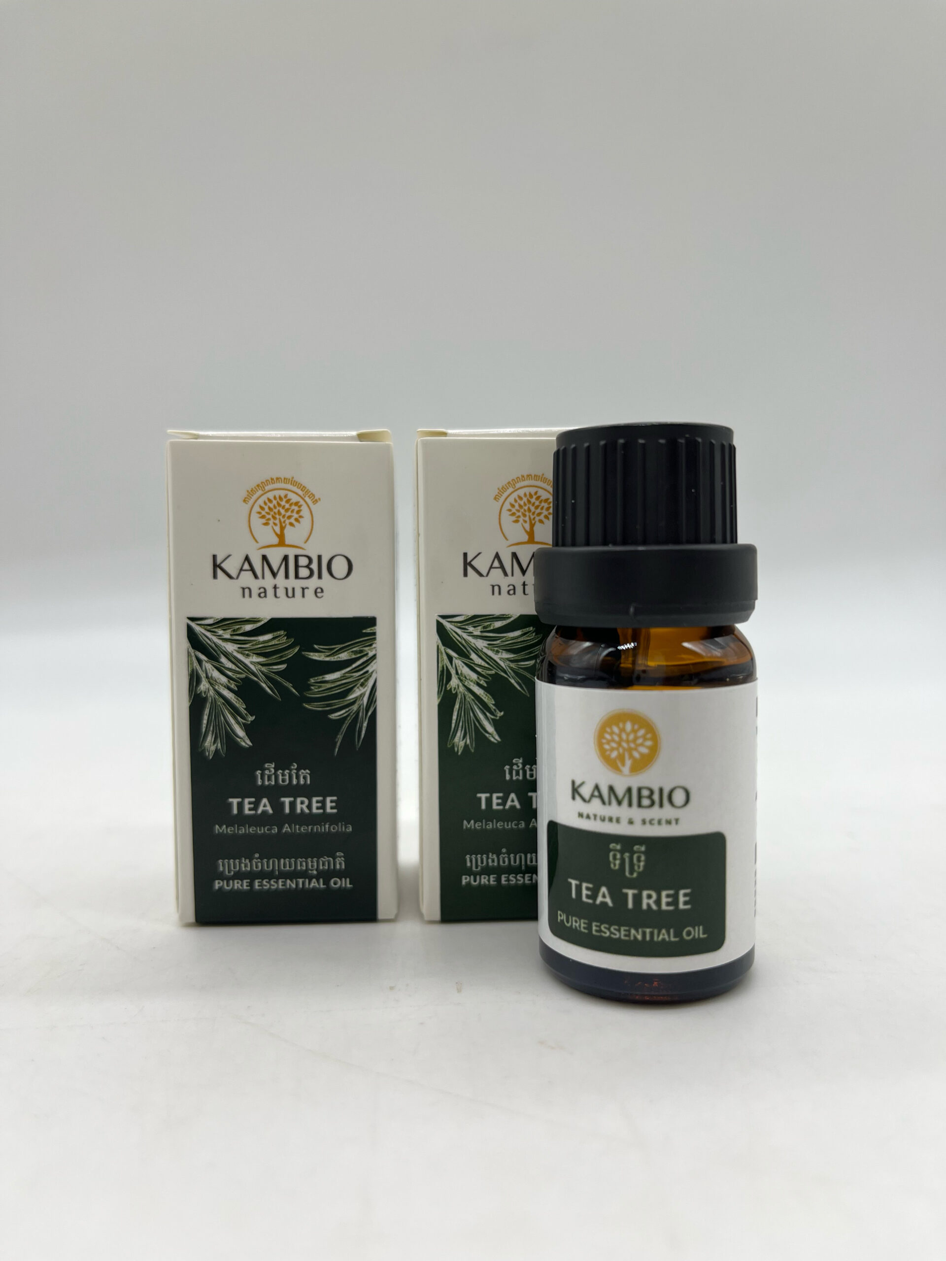 essential-oil-tea-tree-%e1%9e%94%e1%9f%92%e1%9e%9a%e1%9f%81%e1%9e%84%e1%9e%8a%e1%9e%be%e1%9e%98%e1%9e%8f%e1%9f%82-10ml
