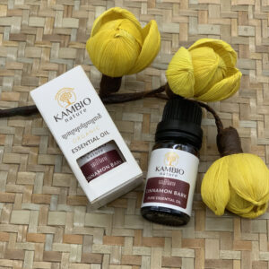 cinnamon-essential-oil-%e1%9e%94%e1%9f%92%e1%9e%9a%e1%9f%81%e1%9e%84%e1%9e%80%e1%9f%92%e1%9e%9a%e1%9e%a2%e1%9e%bc%e1%9e%94%e1%9e%81%e1%9f%92%e1%9e%98%e1%9f%82%e1%9e%9a%e1%9e%92%e1%9e%98%e1%9f%92