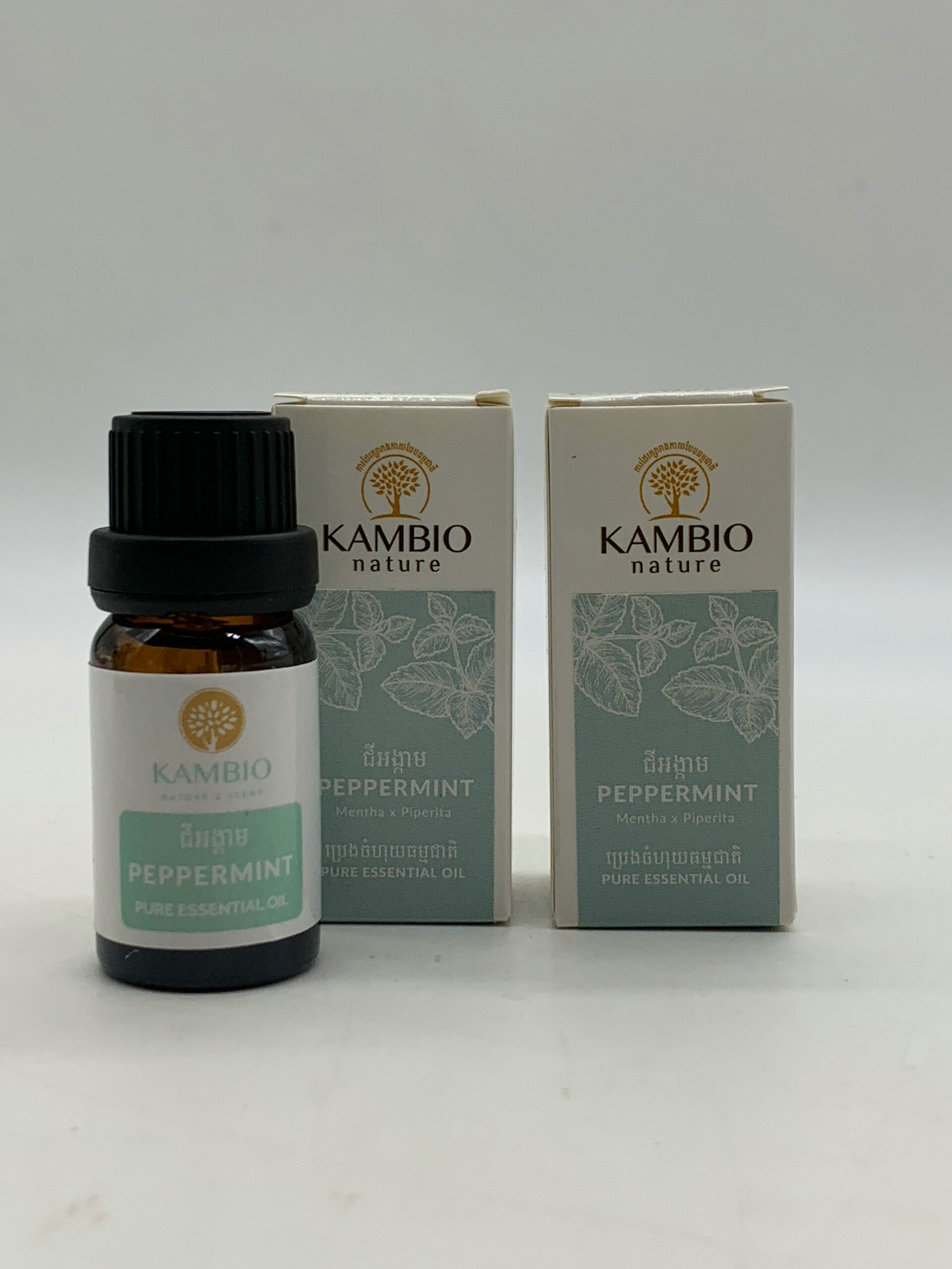 Peppermint Essential Oil - ប្រេងជីអង្កាម 10ml 2 Peppermint Essential Oil - ប្រេងជីអង្កាម 10ml - Image 2