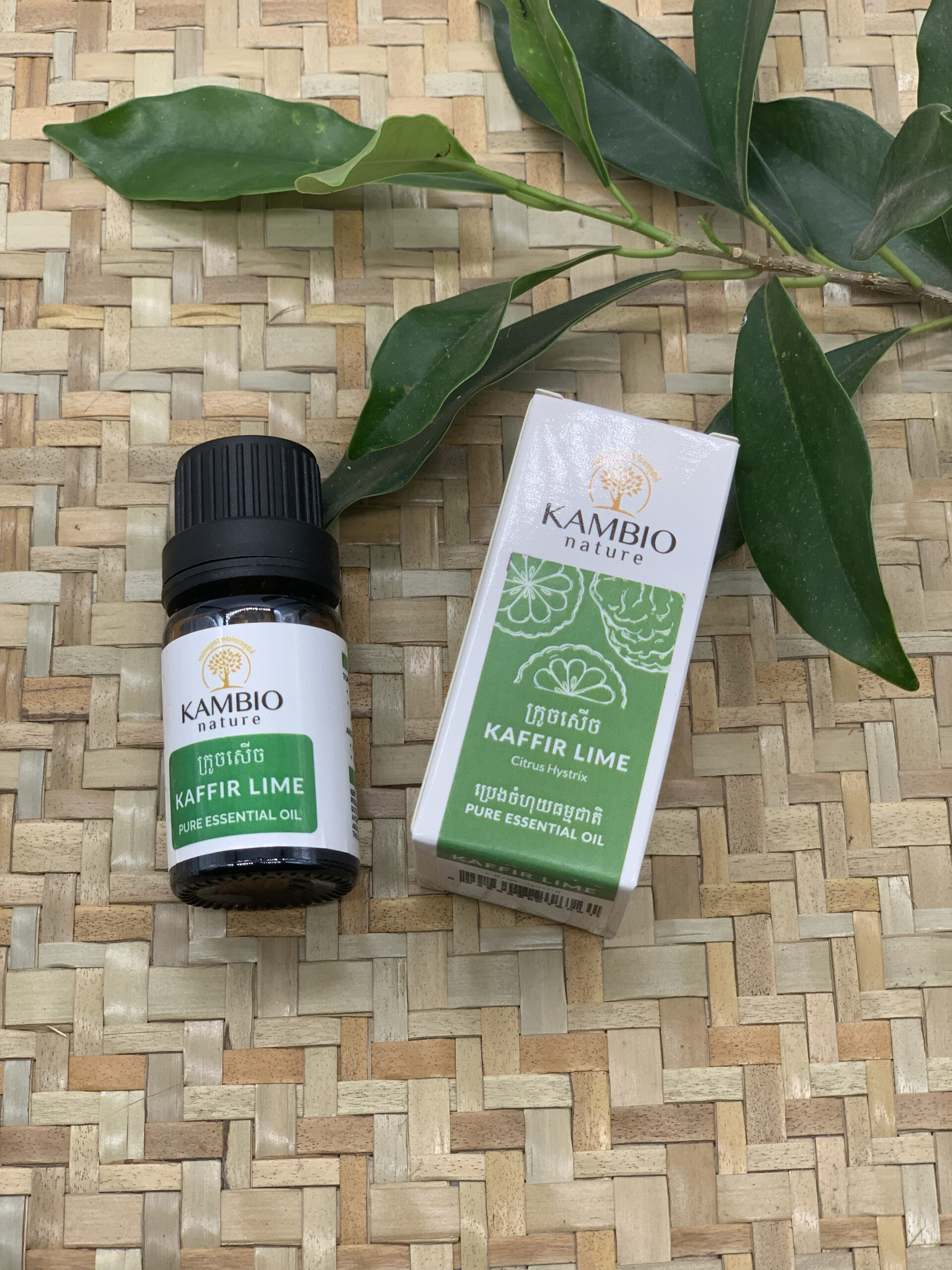 kaffir-lime-essential-oil-%e1%9e%94%e1%9f%92%e1%9e%9a%e1%9f%81%e1%9e%84%e1%9e%80%e1%9f%92%e1%9e%9a%e1%9e%bc%e1%9e%85%e1%9e%9f%e1%9e%be%e1%9e%85-10ml