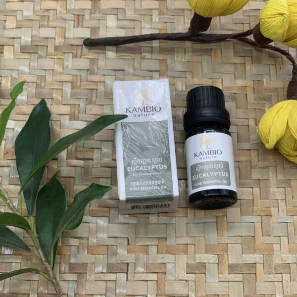 eucalyptus-essential-oil-%e1%9e%94%e1%9f%92%e1%9e%9a%e1%9f%81%e1%9e%84%e1%9e%9f%e1%9f%92%e1%9e%9b%e1%9e%b9%e1%9e%80%e1%9e%94%e1%9f%92%e1%9e%9a%e1%9f%81%e1%9e%84%e1%9e%81%e1%9f%92%e1%9e%99%e1%9e%9b