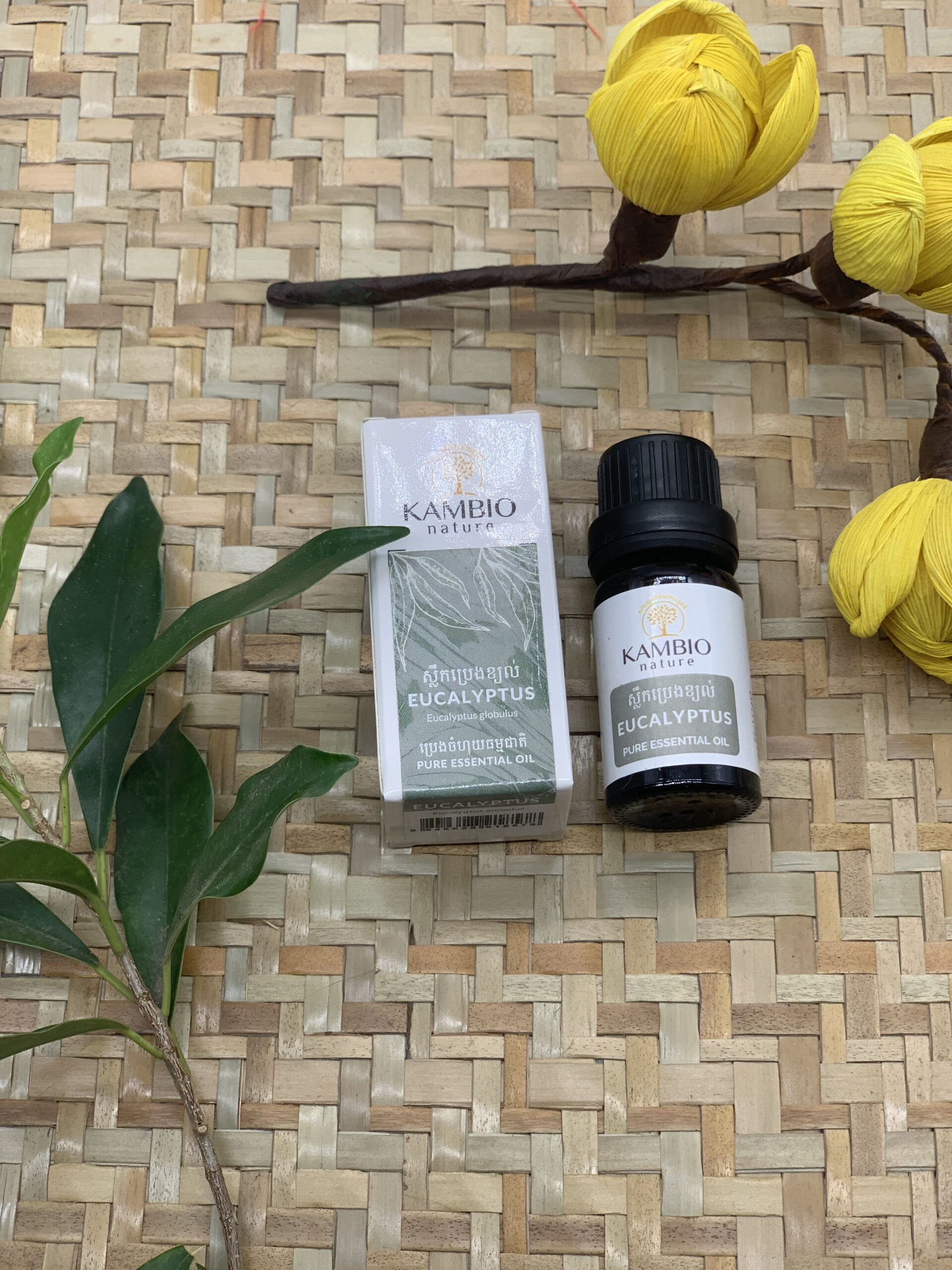 eucalyptus-essential-oil-%e1%9e%94%e1%9f%92%e1%9e%9a%e1%9f%81%e1%9e%84%e1%9e%9f%e1%9f%92%e1%9e%9b%e1%9e%b9%e1%9e%80%e1%9e%94%e1%9f%92%e1%9e%9a%e1%9f%81%e1%9e%84%e1%9e%81%e1%9f%92%e1%9e%99%e1%9e%9b