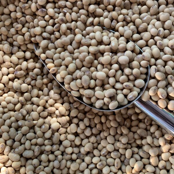 black-eyed-beans-%e1%9e%9f%e1%9e%8e%e1%9f%92%e1%9e%8a%e1%9f%82%e1%9e%80%e1%9e%9f-1000g