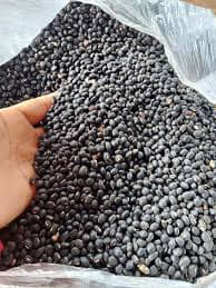 black-gram-beans-%e1%9e%9f%e1%9e%8e%e1%9f%92%e1%9e%8a%e1%9f%82%e1%9e%80%e1%9e%81%e1%9f%92%e1%9e%98%e1%9f%85-500g