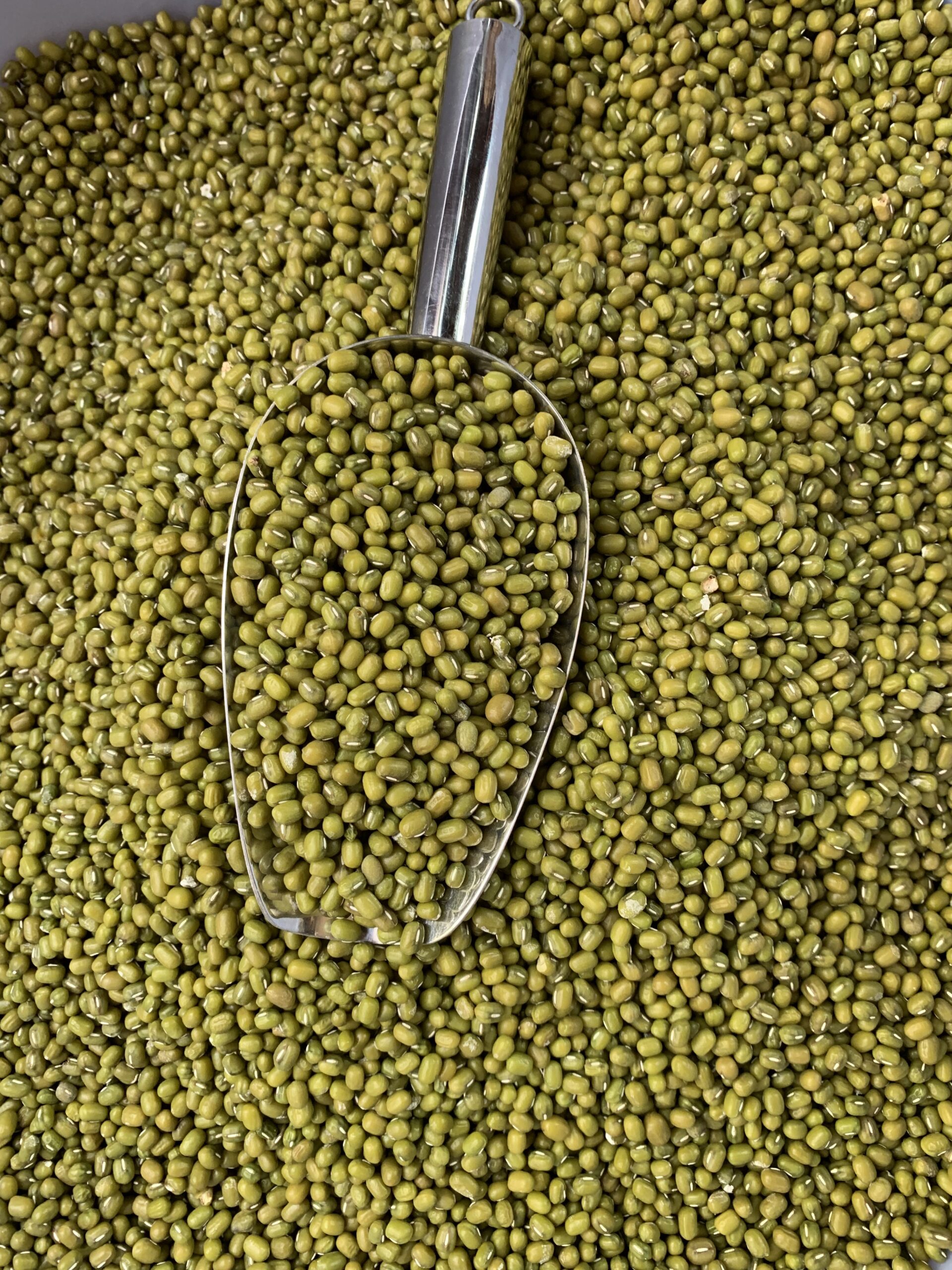 Green Gram - សណ្ដែកបាយ 200g 2 Green Gram - សណ្ដែកបាយ 200g - Image 2