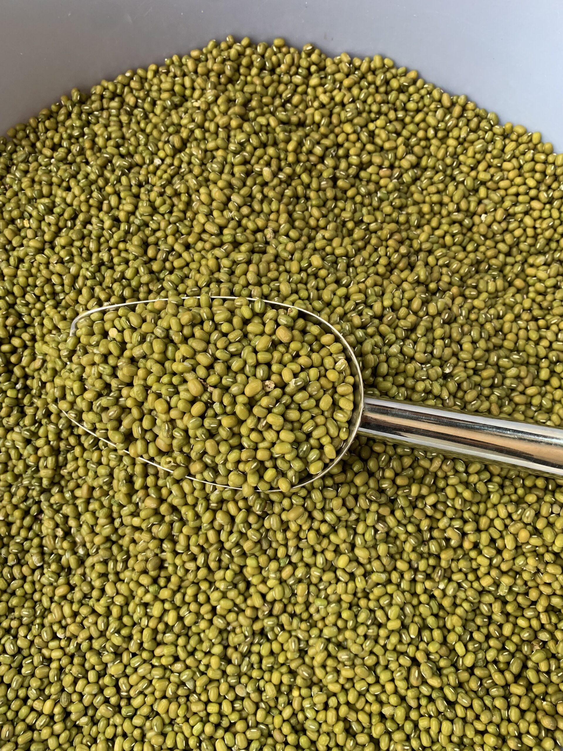 green-gram-%e1%9e%9f%e1%9e%8e%e1%9f%92%e1%9e%8a%e1%9f%82%e1%9e%80%e1%9e%94%e1%9e%b6%e1%9e%99-300g