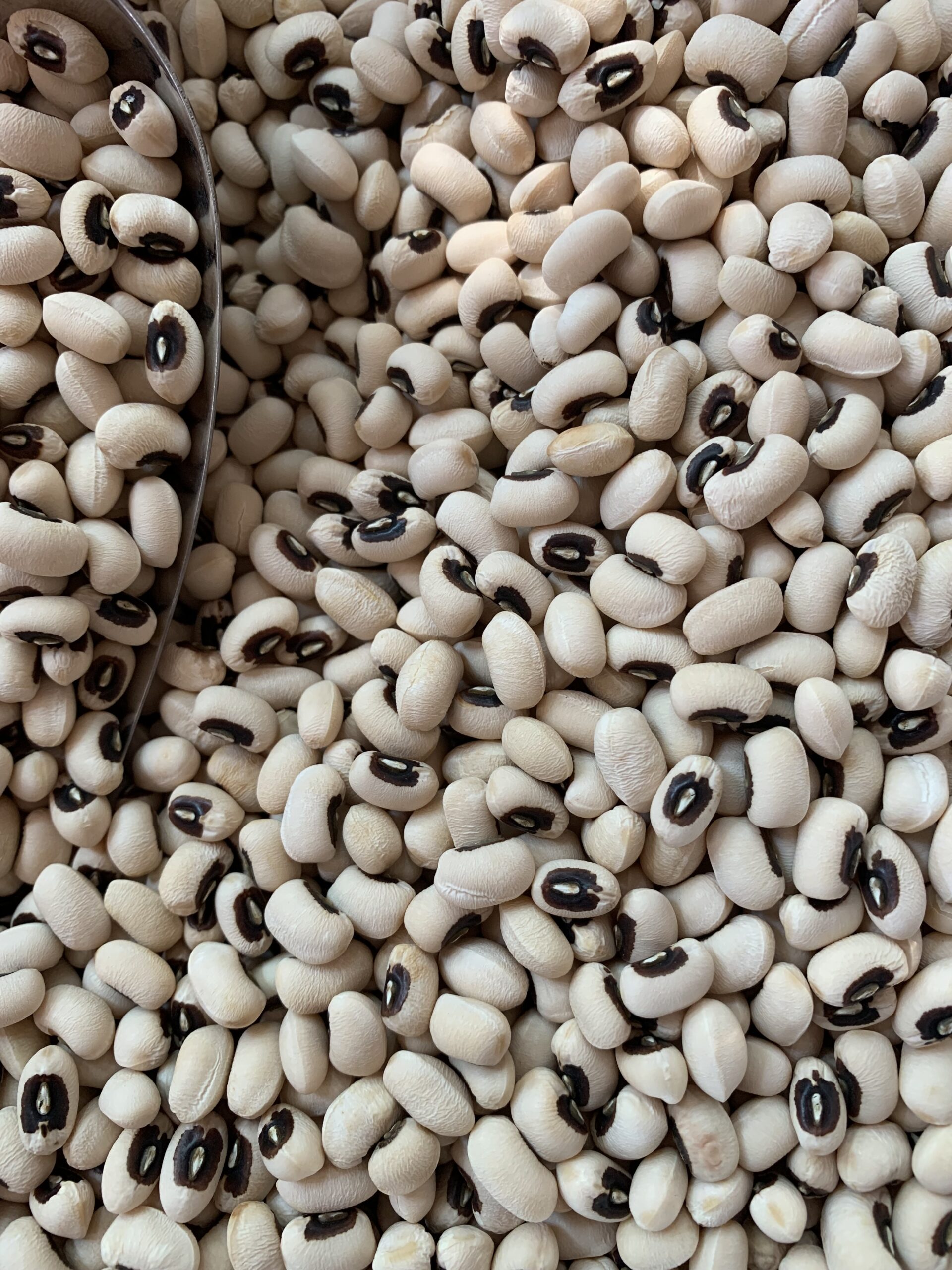 soybean-%e1%9e%9f%e1%9e%8e%e1%9f%92%e1%9e%8a%e1%9f%82%e1%9e%80%e1%9e%9f%e1%9f%80%e1%9e%84-200g