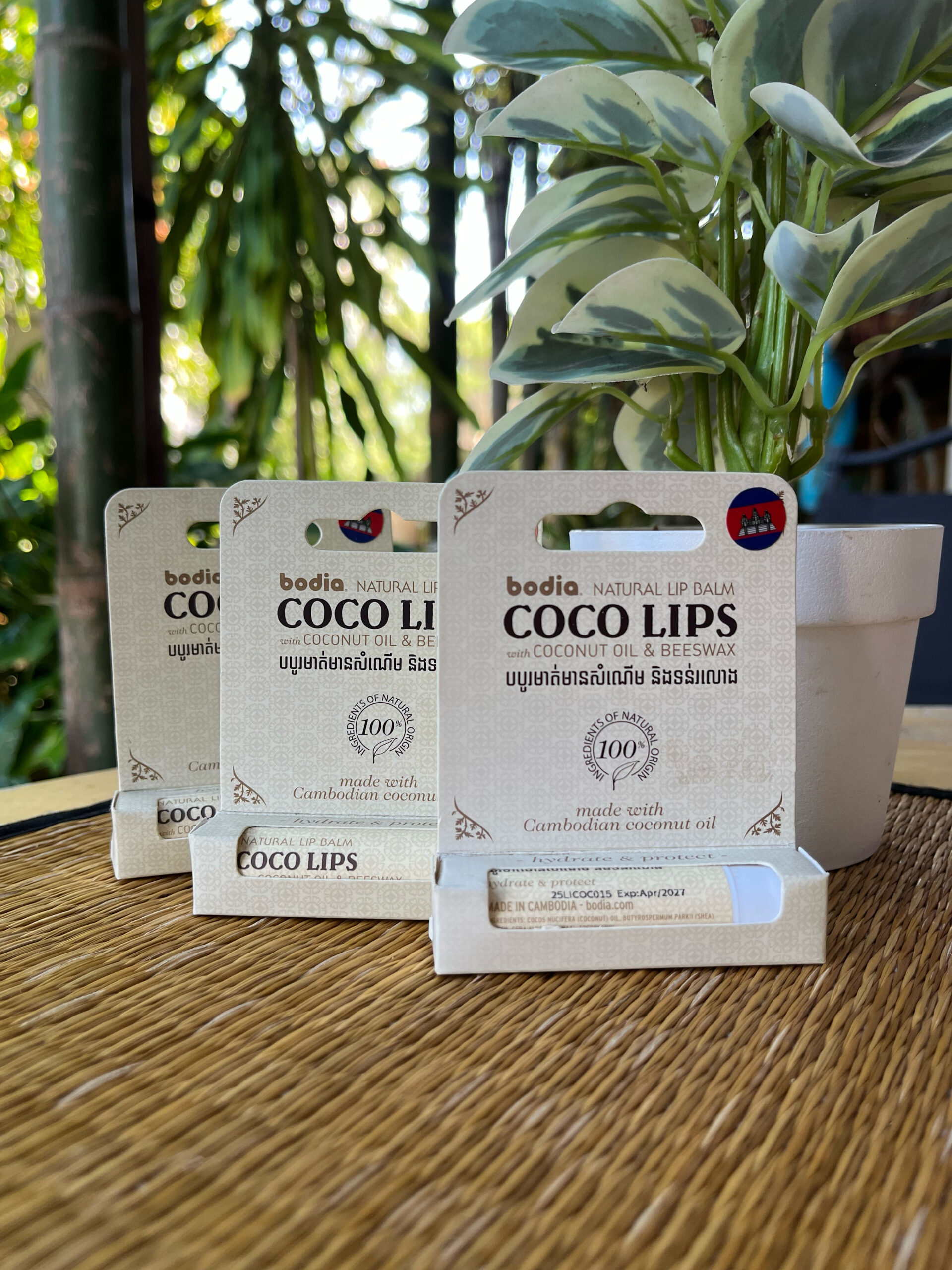 natural-lip-balm-coco-lips-%e1%9e%80%e1%9f%92%e1%9e%9a%e1%9f%81%e1%9e%98%e1%9e%9b%e1%9e%b6%e1%9e%94%e1%9e%98%e1%9e%b6%e1%9e%8f%e1%9f%8b%e1%9e%92%e1%9e%98%e1%9f%92%e1%9e%98%e1%9e%87%e1%9e%b6%e1%9e%8f