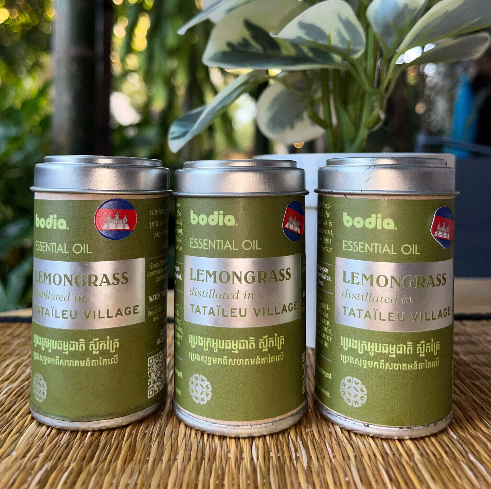 essential-oil-lemongrass-%e1%9e%94%e1%9f%92%e1%9e%9a%e1%9f%81%e1%9e%84%e1%9e%9f%e1%9f%92%e1%9e%9b%e1%9e%b9%e1%9e%80%e1%9e%82%e1%9f%92%e1%9e%9a%e1%9f%83%e1%9e%9f%e1%9e%bb%e1%9e%91%e1%9f%92%e1%9e%92-1