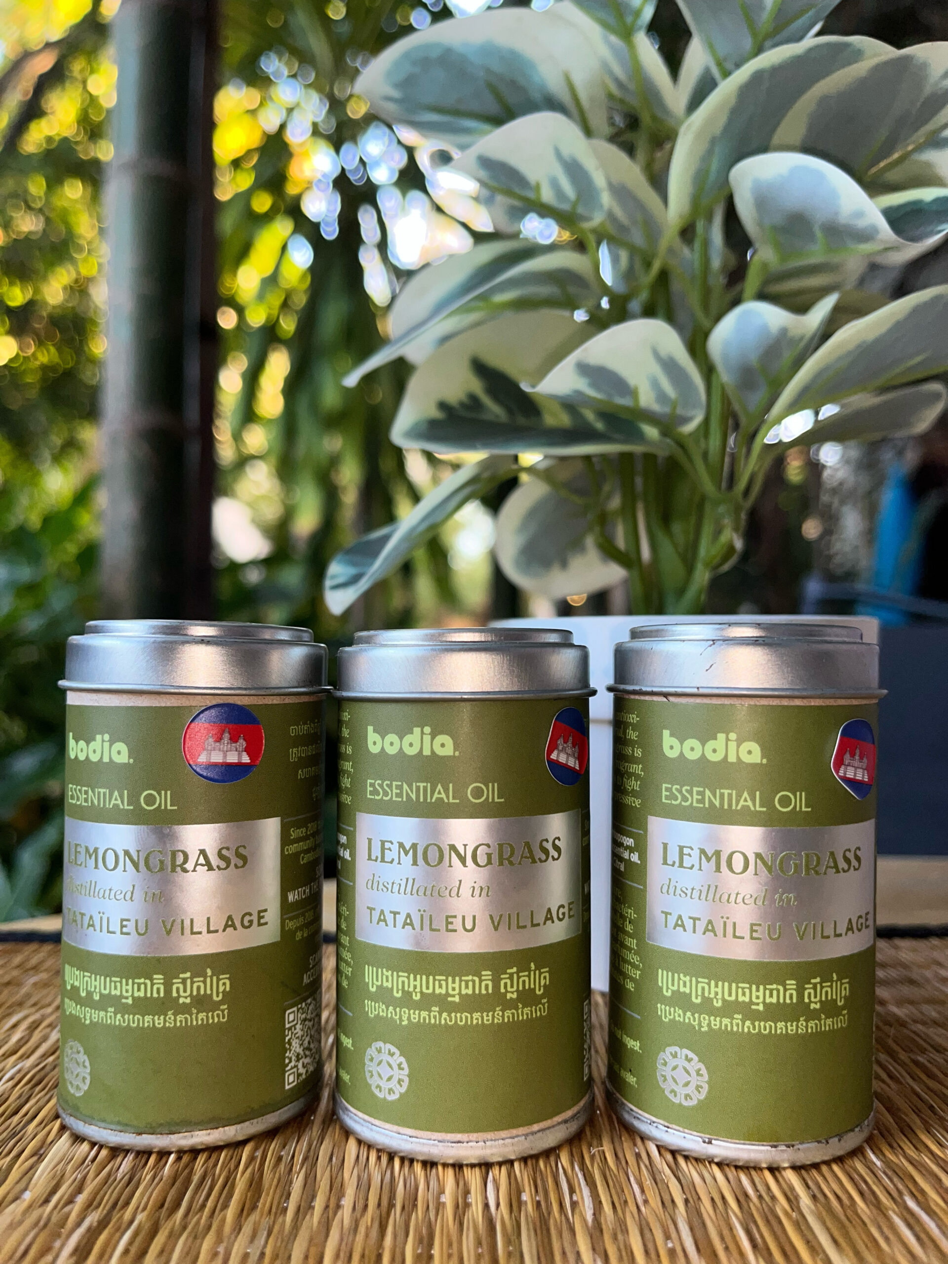 essential-oil-lemongrass-%e1%9e%94%e1%9f%92%e1%9e%9a%e1%9f%81%e1%9e%84%e1%9e%9f%e1%9f%92%e1%9e%9b%e1%9e%b9%e1%9e%80%e1%9e%82%e1%9f%92%e1%9e%9a%e1%9f%83%e1%9e%9f%e1%9e%bb%e1%9e%91%e1%9f%92%e1%9e%92-1