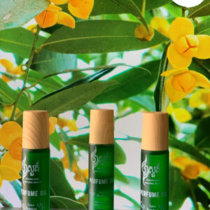 perfume-oil-coco-romdoul-%e1%9e%91%e1%9e%b9%e1%9e%80%e1%9e%a2%e1%9e%94%e1%9f%8b%e1%9e%80%e1%9f%92%e1%9e%9b%e1%9e%b7%e1%9e%93%e1%9e%95%e1%9f%92%e1%9e%80%e1%9e%b6%e1%9e%9a%e1%9f%86%e1%9e%8a%e1%9e%bd