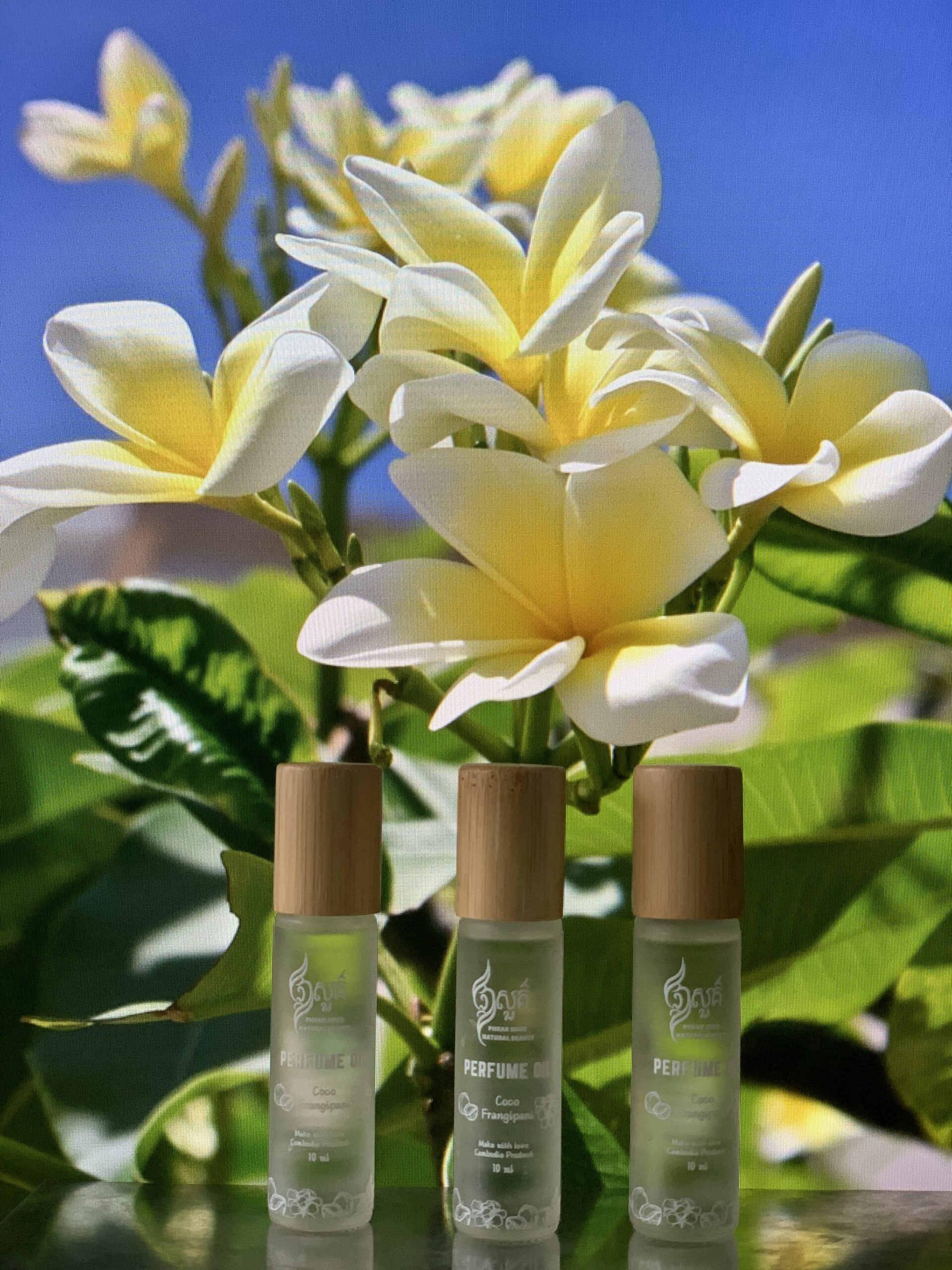 Perfume Oil Coco Frangipani - ទឹកអប់ក្លិនផ្កាចំបុី 10ml 2 Perfume Oil Coco Frangipani - ទឹកអប់ក្លិនផ្កាចំបុី 10ml - Image 2