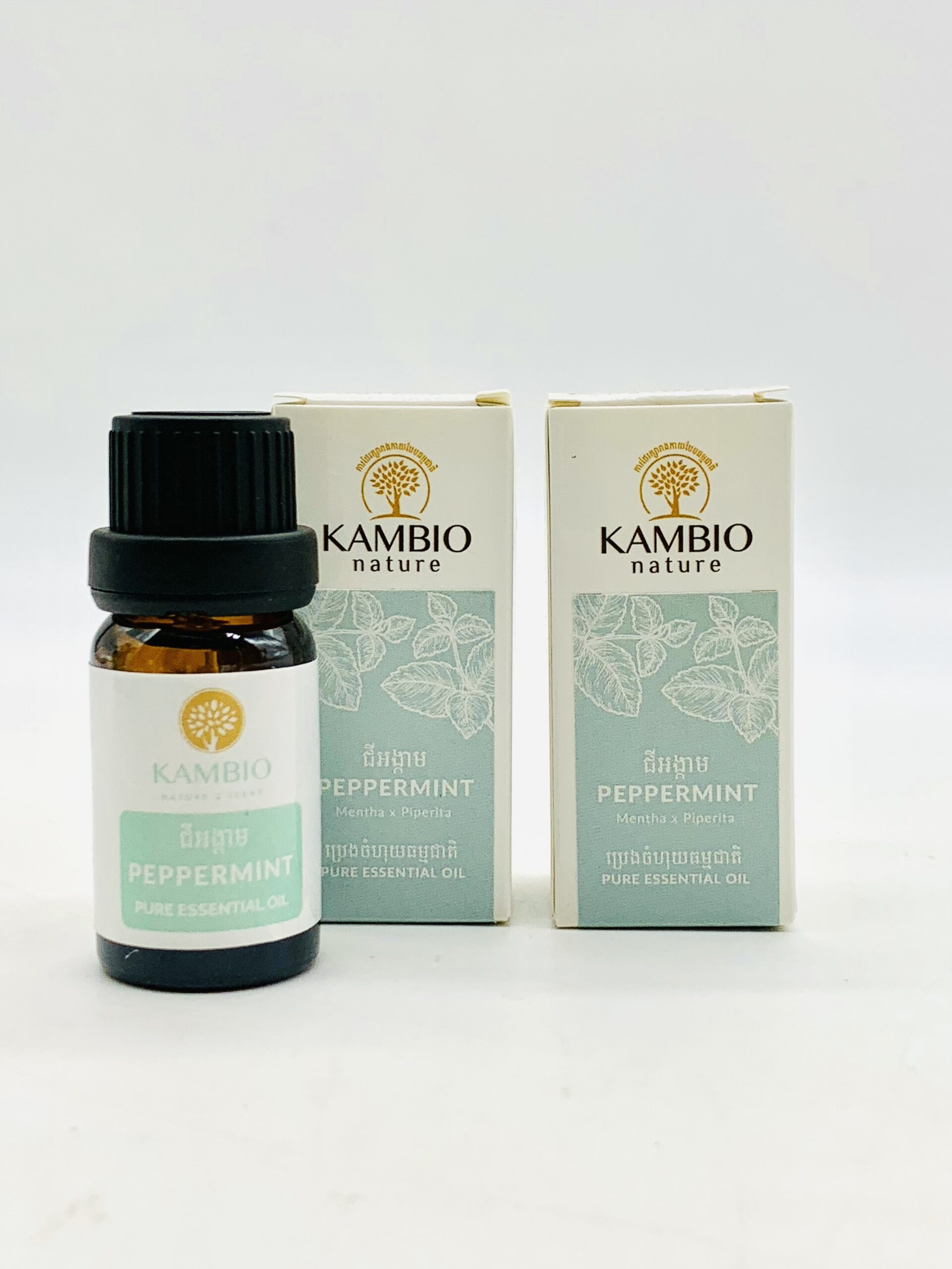 peppermint-essential-oil-%e1%9e%94%e1%9f%92%e1%9e%9a%e1%9f%81%e1%9e%84%e1%9e%87%e1%9e%b8%e1%9e%a2%e1%9e%84%e1%9f%92%e1%9e%80%e1%9e%b6%e1%9e%98-10ml