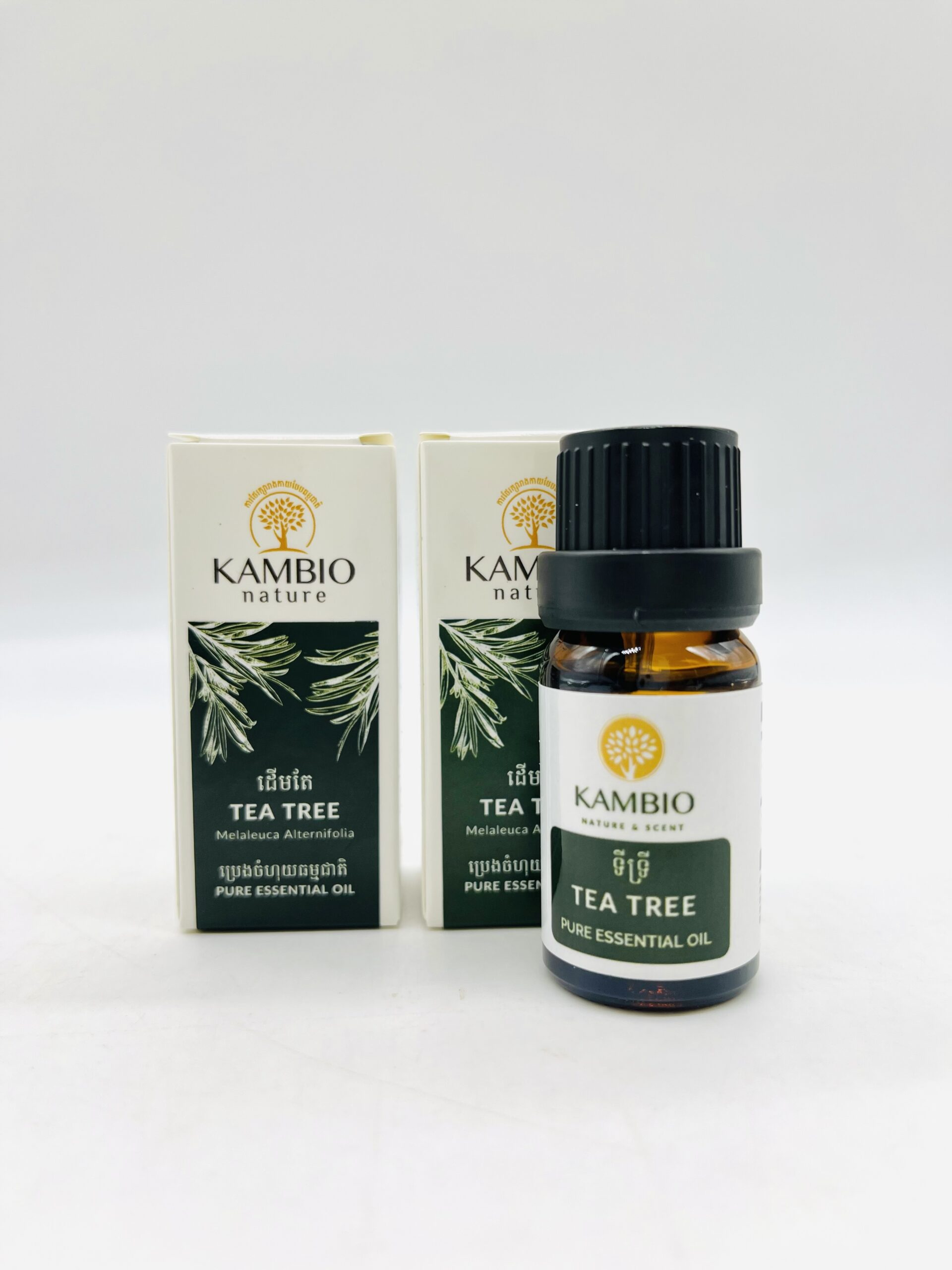 essential-oil-tea-tree-%e1%9e%94%e1%9f%92%e1%9e%9a%e1%9f%81%e1%9e%84%e1%9e%8a%e1%9e%be%e1%9e%98%e1%9e%8f%e1%9f%82-10ml
